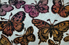 Butterflies At Sunset