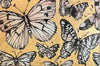 Misty Butterflies
