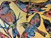 Rainbow Birds