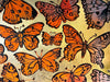 Marigold Butterflies