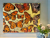 Marigold Butterflies