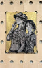 Young Love