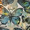 Kaleidoscopic Butterflies II