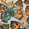 Kaleidoscopic Butterflies II