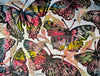 Kaleidoscopic Butterflies I