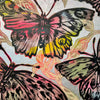 Kaleidoscopic Butterflies I