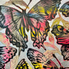 Kaleidoscopic Butterflies I