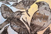 Neutral Birds