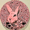 Pink Flower