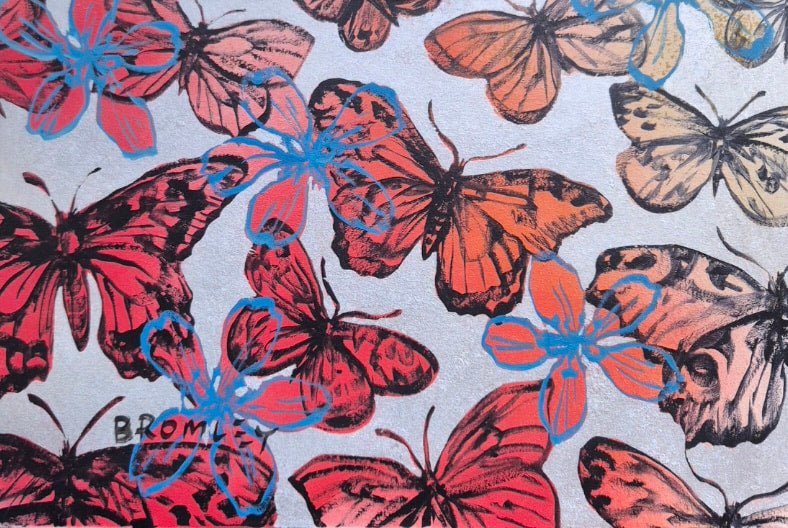 Butterflies and Blooms