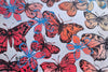 Butterflies and Blooms