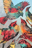 Tropical Birds