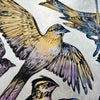 The Language of Flight
