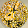Yellow Flower
